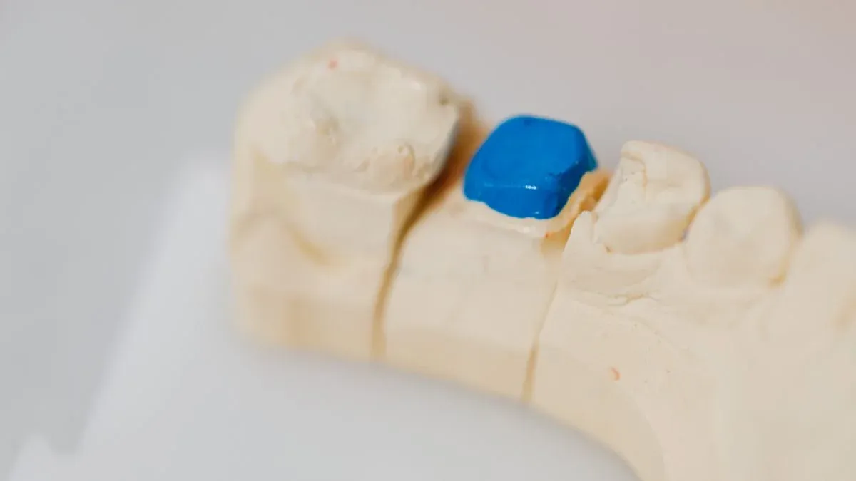 Close-up of a dental jaw model with a filling in place alongside dentistry tools