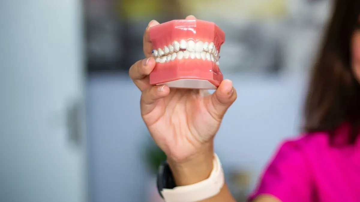 A hand holding a model of a full set of upper and lower teeth