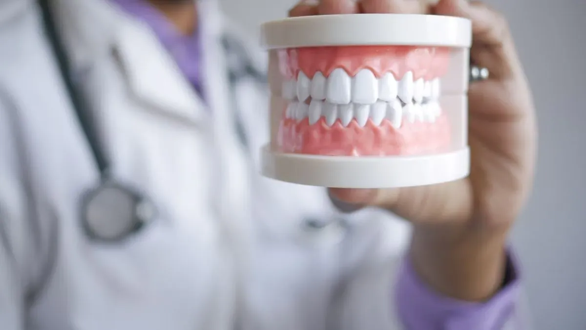 A clinician in a white coat holding up a model of full upper and lower dentures